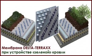 Устройство эксплуатируемой "зеленой кровли" с применением мембраны DELTA TERRAXX