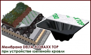 Устройство эксплуатируемой "зеленой кровли" с применением мембраны DELTA FLORAXX