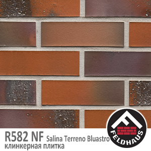 R582 NF14 Salina Terreno Bluastro