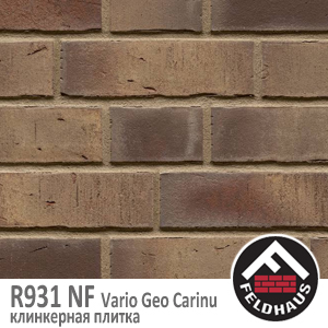 R931 NF14 Vario Geo Carinu